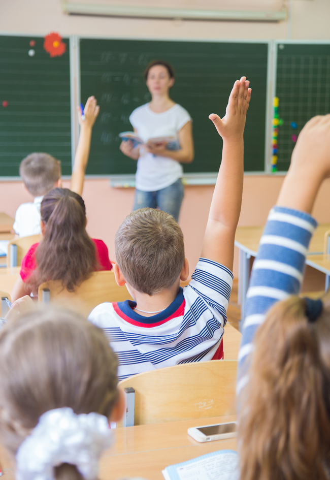 Okul Çağı Kursu Berin Online School